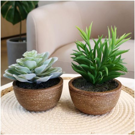 Plastic Artificial Succulent for Office Use